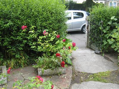 Picture 10